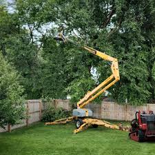 Grass Overseeding in South Hooksett, NH